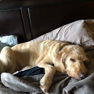 Meet your Posher, Joseph